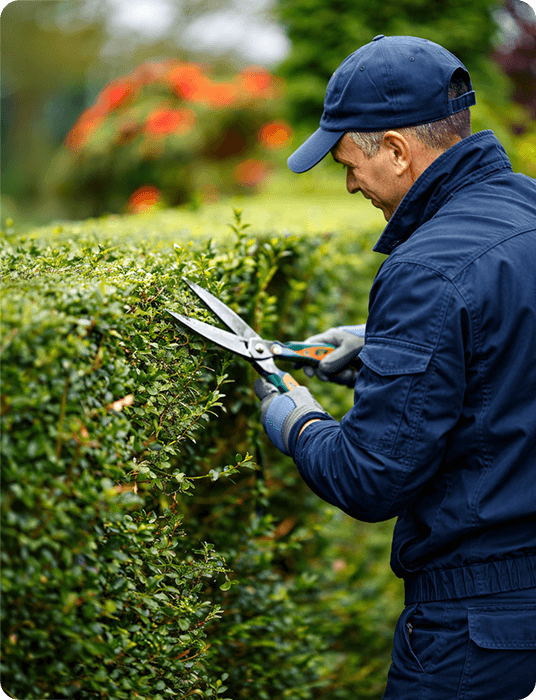 Profissional de jardinagem